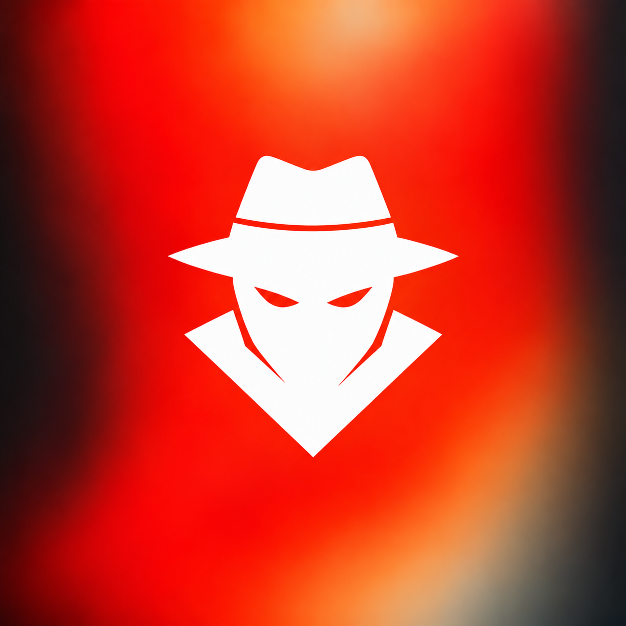 Mr.X portfolio